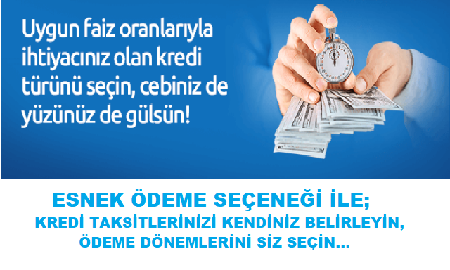 Kredi Taksitlerinizi Kendiniz Belirleyin Odeme Donemlerinizi Secin Banka Kredileri